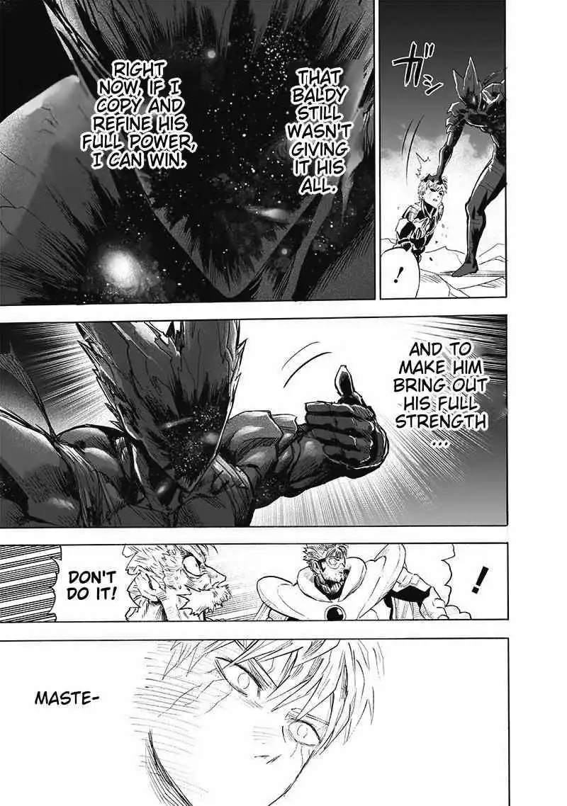 One-Punch Man Chapter 166 29